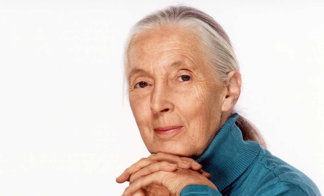 Realscreen to Posthumously Honor Jane Goodall with Action Award at 2026 Ceremony
