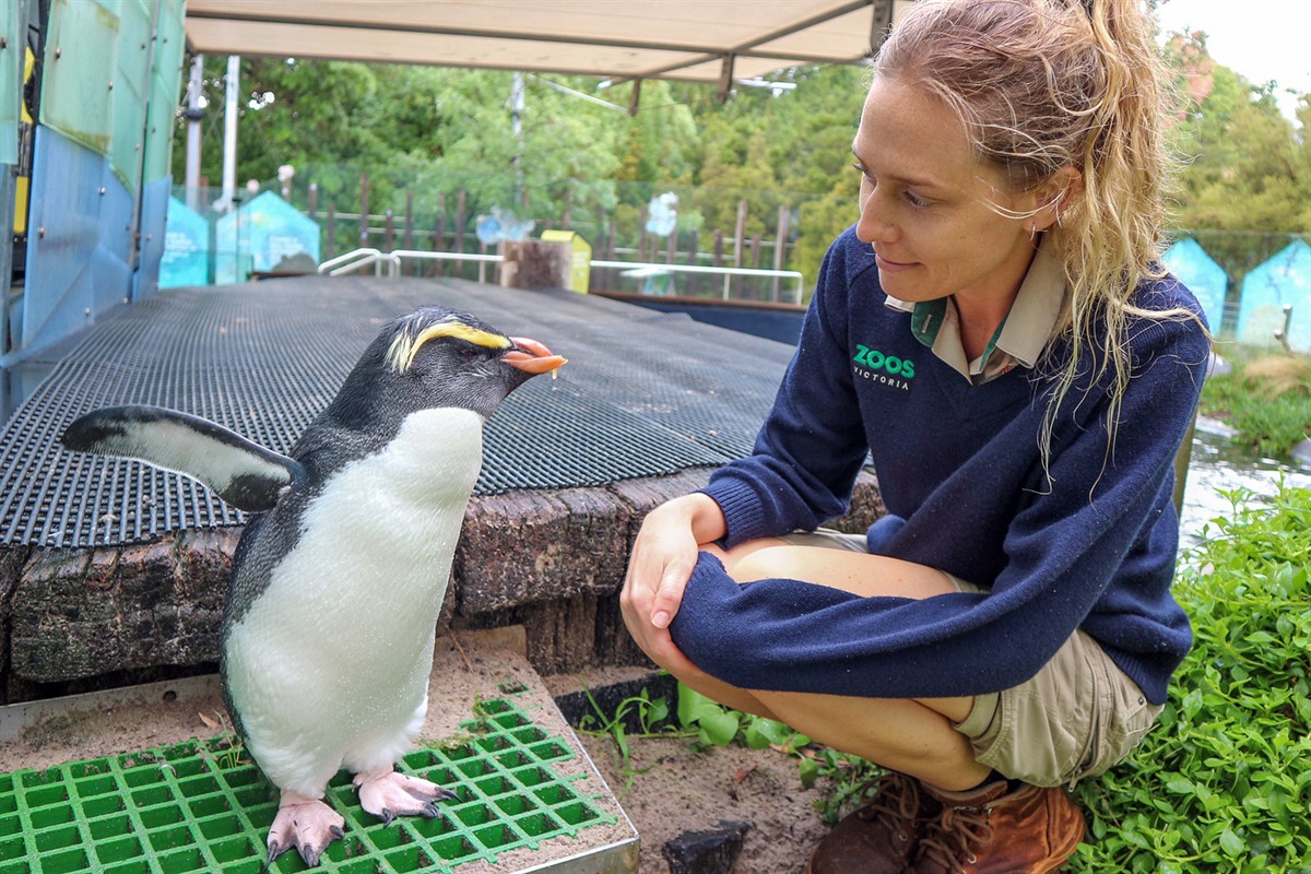 Fred Media secures major pre-sales for documentary Mega Zoo