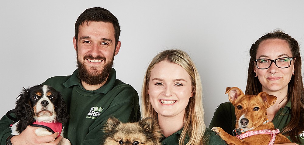All3 Media International licences The Dog House to Australia and acquires Dog Almighty