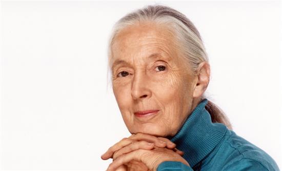 Realscreen to Posthumously Honor Jane Goodall with Action Award at 2026 Ceremony
