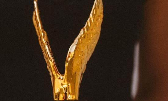 Entry Open for Venice TV Award 2021