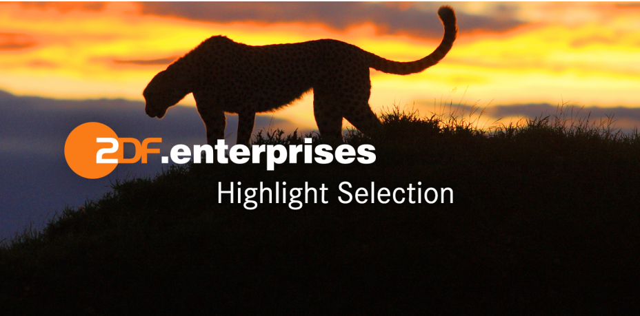 ZDF Enterprises acquires stake in REAL FILM Berlin