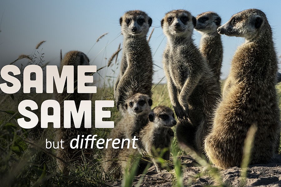 Autentic Distribution Launches Over 80 hours of New Factual Content for MIPCOM