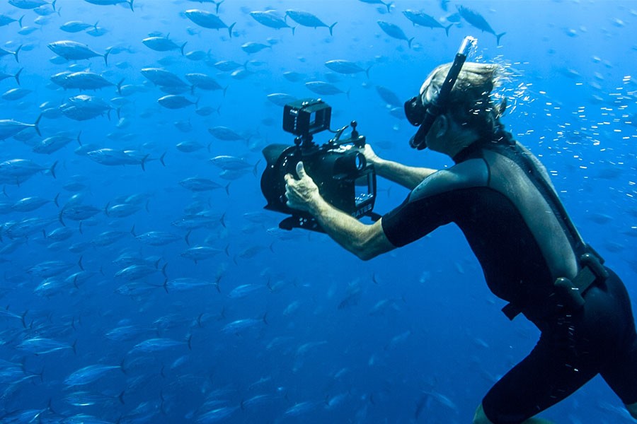 ORF-Enterprise’s Superfish – Wild Salmon Wins Environment Award at International Ocean Film Festival