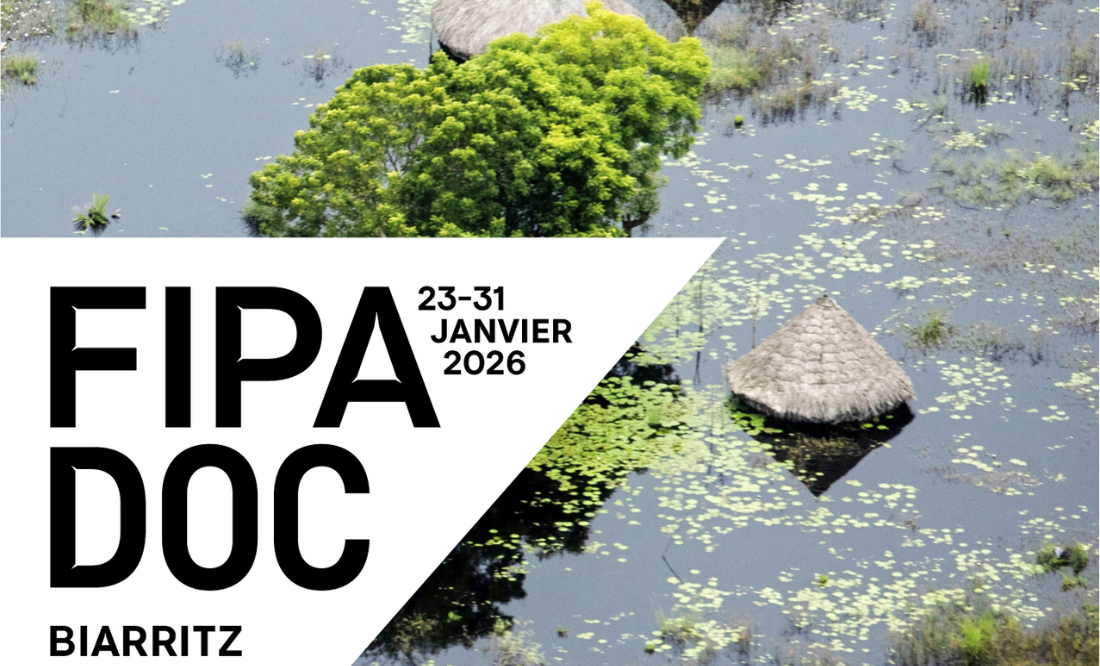 Biarritz Welcomes the Return of  Fipadoc 2026