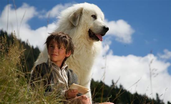 Thu, Aug 7, 2025: Movie Belle & Sebastien won pt slot (15%) beated rerun drama series Un Professore (11.3%)