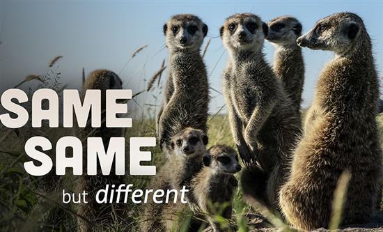 Autentic Distribution Launches Over 80 hours of New Factual Content for MIPCOM