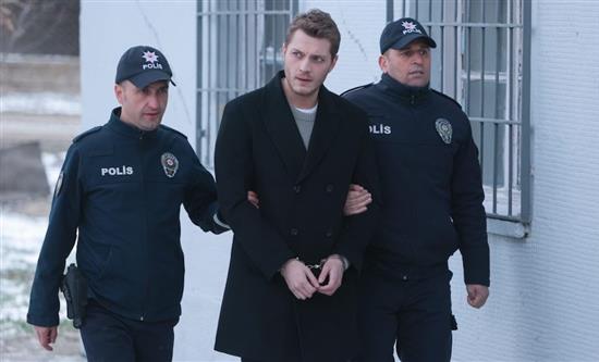 Tue, Nov 4, 2025: Canale 5 Turkish drama La Notte nel Cuore won pt slot (16.6%); Belve (9%); rerun Montalbano (13.1%); true-crime docudrama Amore Criminale debuted on Rai 3 (3.4%)