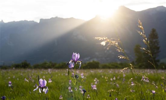 ORF-Enterprise Sings its First Deal with PlattelandsTv for 20 Documentaries