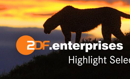 ZDF Enterprises acquires stake in REAL FILM Berlin